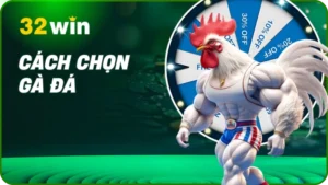 Cách chọn gà đá - Bí Kíp Xem Tướng & Vảy Từ Chuyên Gia